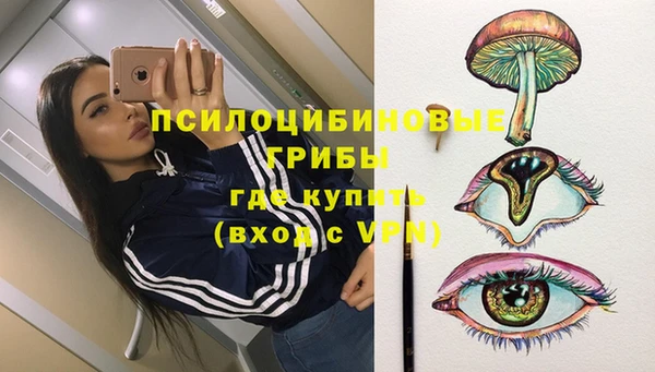мяу мяу мука Надым