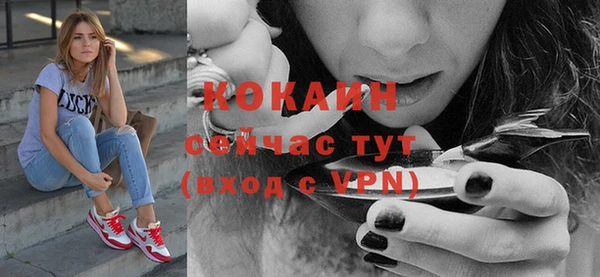 шишки Наволоки