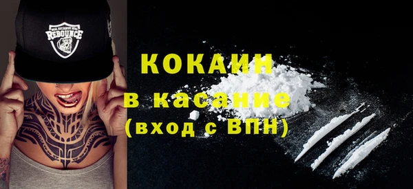 шишки Наволоки