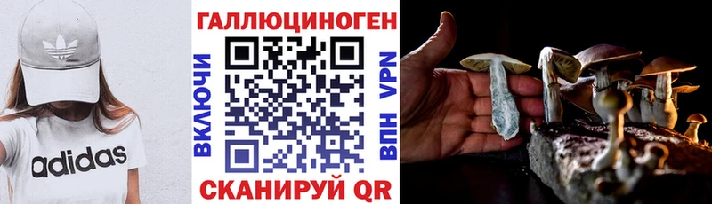 маркетплейс какой сайт  Покачи  Псилоцибиновые грибы GOLDEN TEACHER 